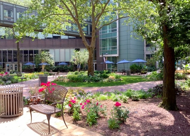 stage linguistique New York voyage anglais adolescents